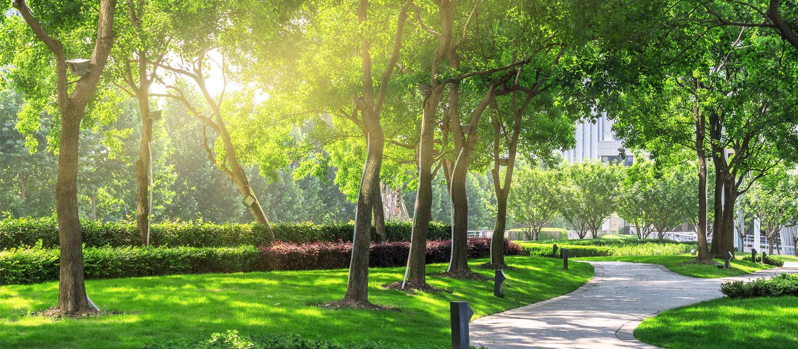 green-stay-irrigation-systems-self-watering-systems-capillary-matting